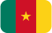 Flag Cameroon